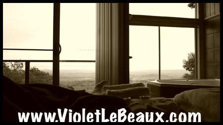 VioletLeBeauxP1010205_1161 copy